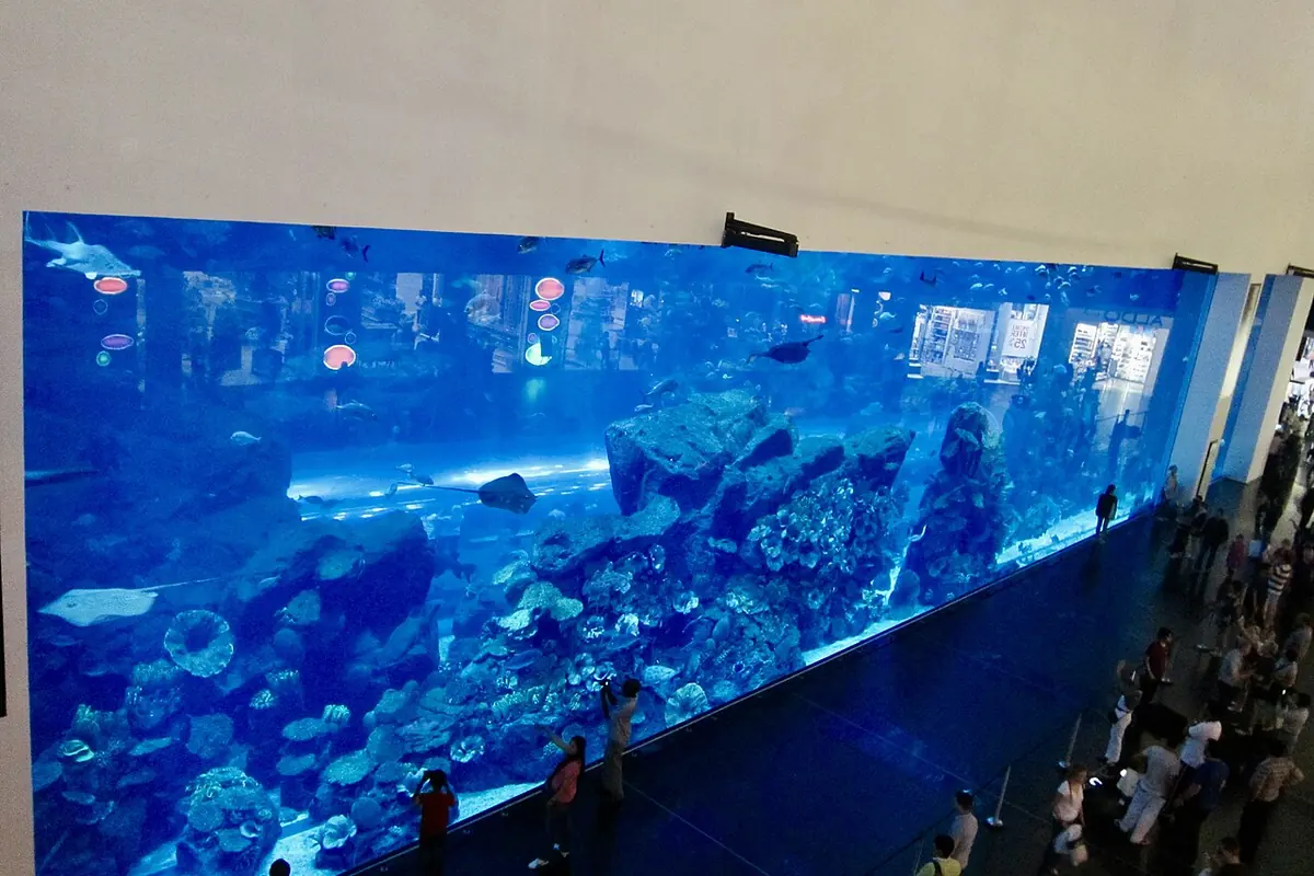 Indoor Activities in Dubai: 30 Places With Real Prices and 4 Ready-Made Days 4 The main tank of Dubai Aquarium seen from the atrium of The Dubai Mall