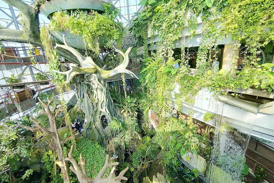 Indoor Activities in Dubai: 30 Places With Real Prices and 4 Ready-Made Days 25 Indoor rainforest with a tree and waterfall inside The Green Planet, City Walk, Dubai